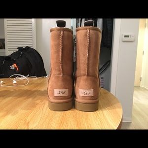 Brand new chestnut short uggs in perfect condition